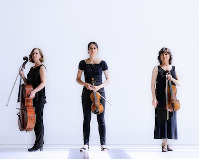 The Hague String Trio